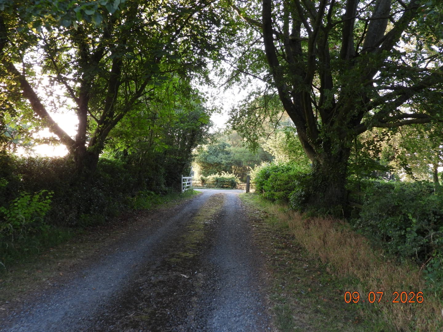 The Approach